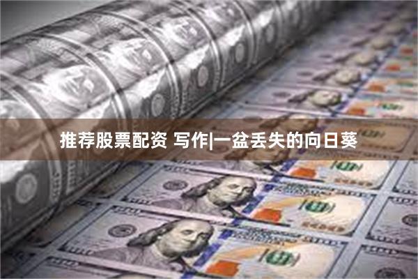 推荐股票配资 写作|一盆丢失的向日葵
