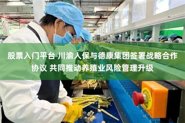 股票入门平台 川渝人保与德康集团签署战略合作协议 共同推动养殖业风险管理升级