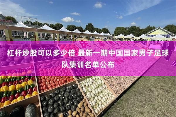 杠杆炒股可以多少倍 最新一期中国国家男子足球队集训名单公布