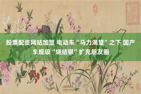 股票配资网站加盟 电动车“马力渴望”之下 国产车规级“烧结银”扩充朋友圈