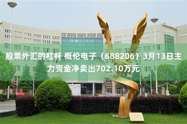 股票外汇的杠杆 概伦电子（688206）3月13日主力资金净卖出702.10万元