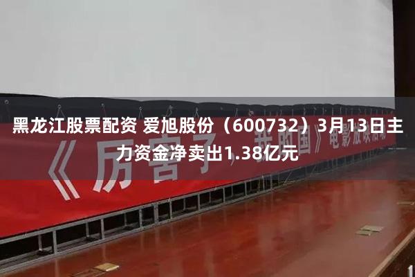 黑龙江股票配资 爱旭股份（600732）3月13日主力资金净卖出1.38亿元