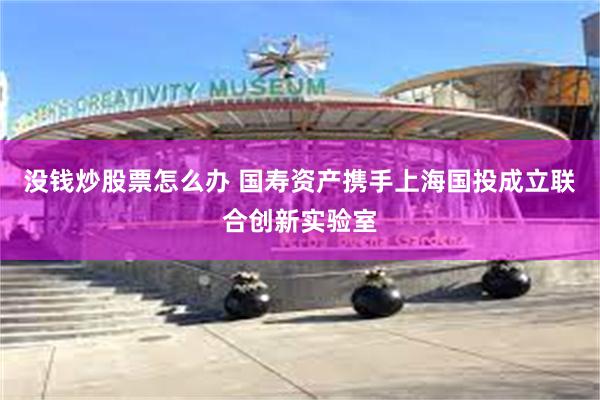 没钱炒股票怎么办 国寿资产携手上海国投成立联合创新实验室