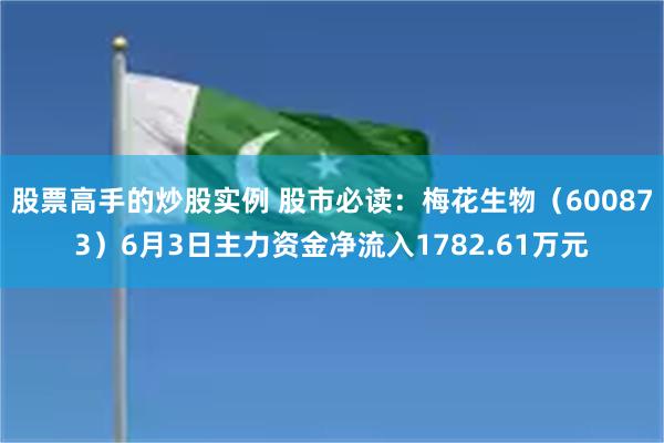 股票高手的炒股实例 股市必读：梅花生物（600873）6月3日主力资金净流入1782.61万元