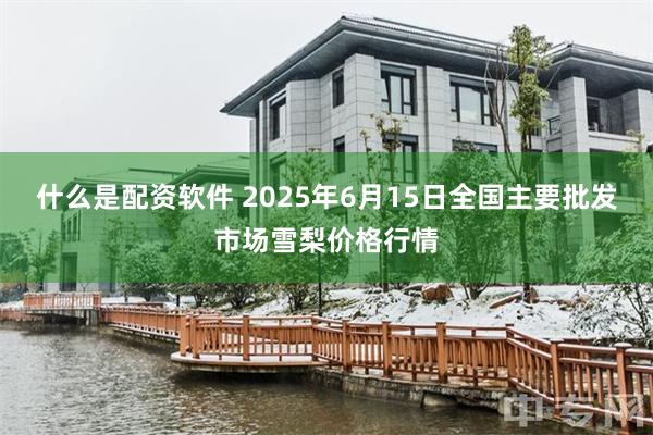 什么是配资软件 2025年6月15日全国主要批发市场雪梨价格行情
