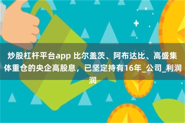 炒股杠杆平台app 比尔盖茨、阿布达比、高盛集体重仓的央企高股息，已坚定持有16年_公司_利润