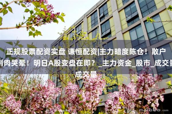正规股票配资实盘 谦恒配资|主力暗度陈仓！散户割肉哭晕！明日A股变盘在即？_主力资金_股市_成交量